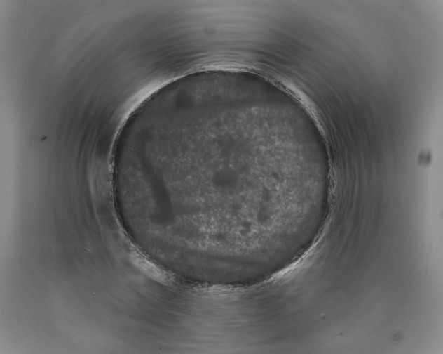 X0000089910779200707271713