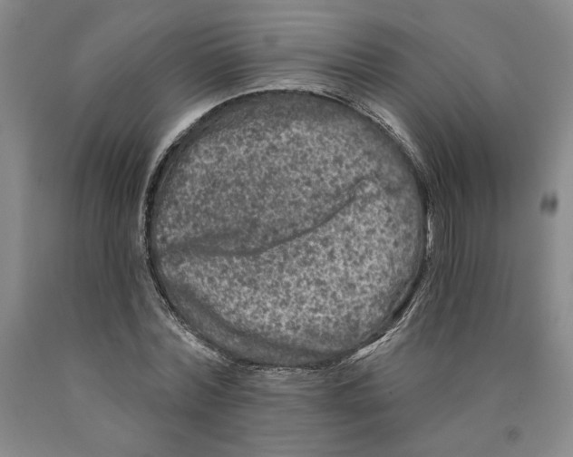 X0000089910780200707271713