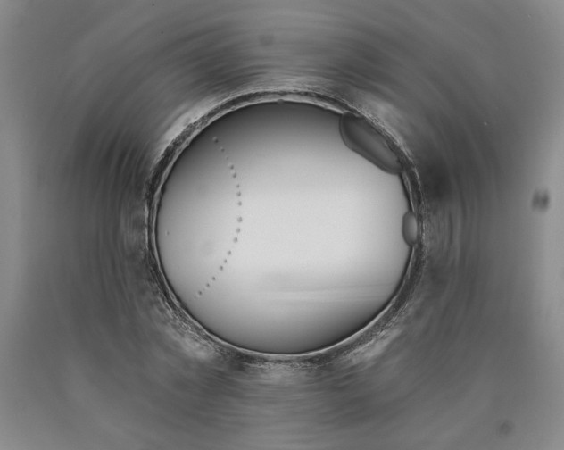 X0000089910781200707271713