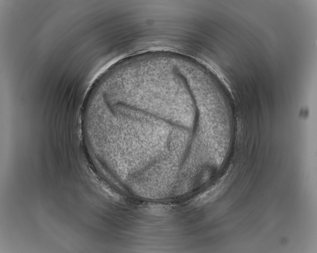 X0000089910782200707271713