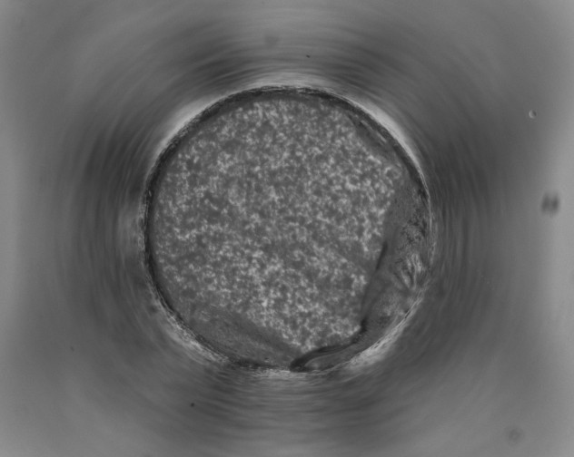 X0000089910783200707271713