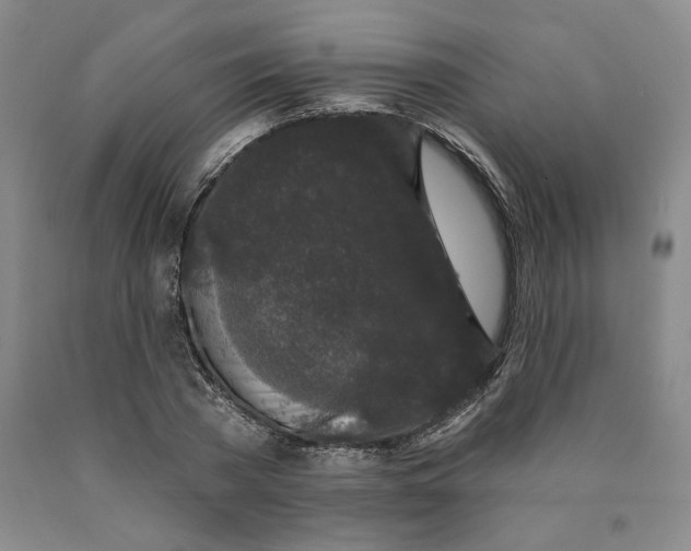 X0000089910785200707271713