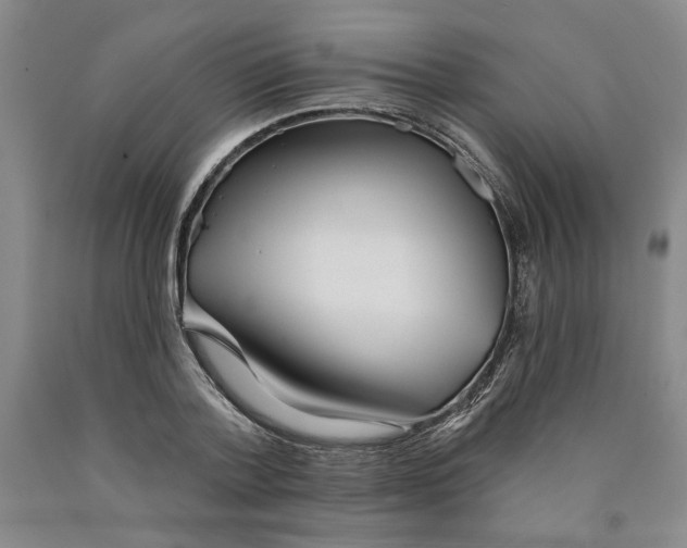 X0000089910788200707271713