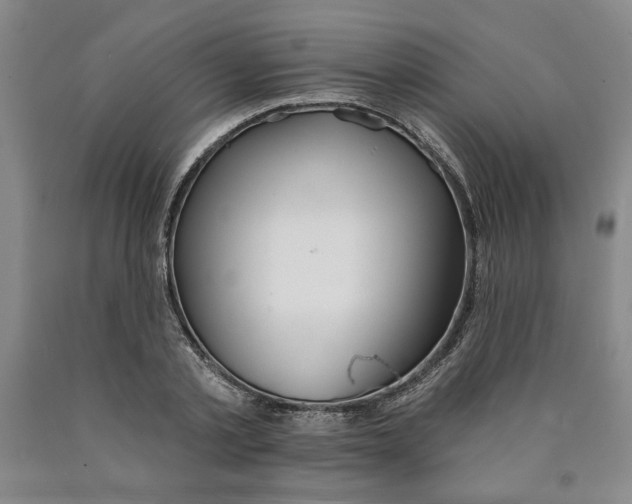 X0000089910789200707271713