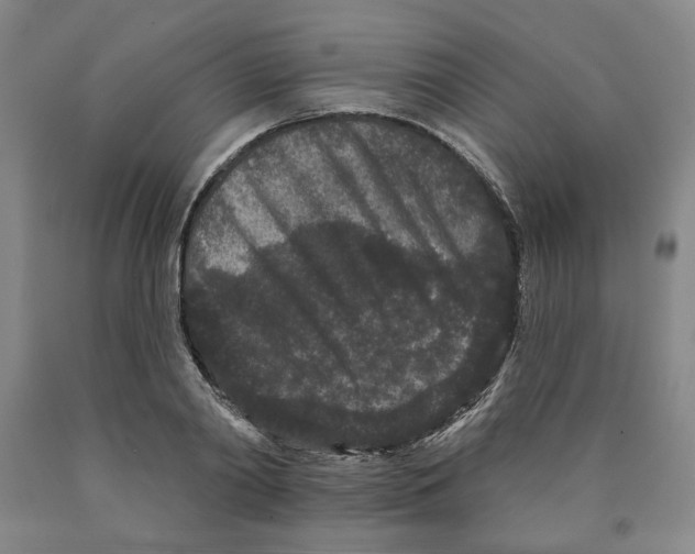 X0000089910790200707271713