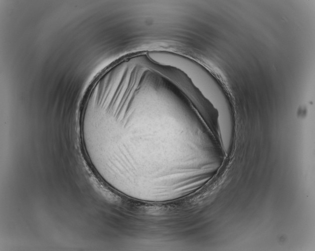 X0000089910792200707271713