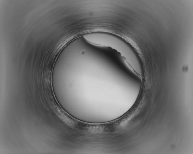 X0000089910793200707271713