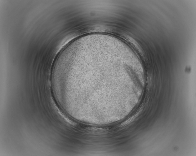 X0000089910794200707271713