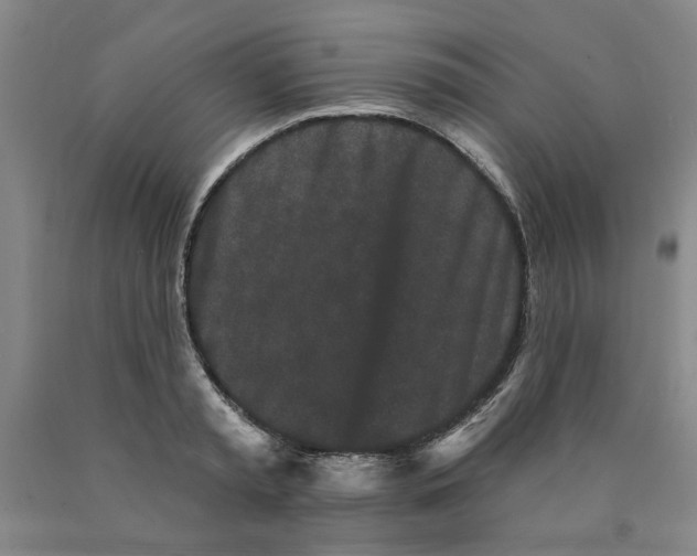 X0000089910797200707271713