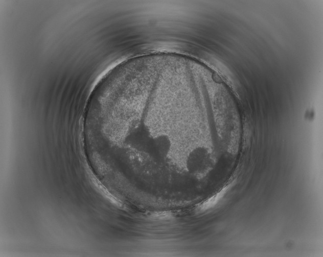 X0000089910798200707271713