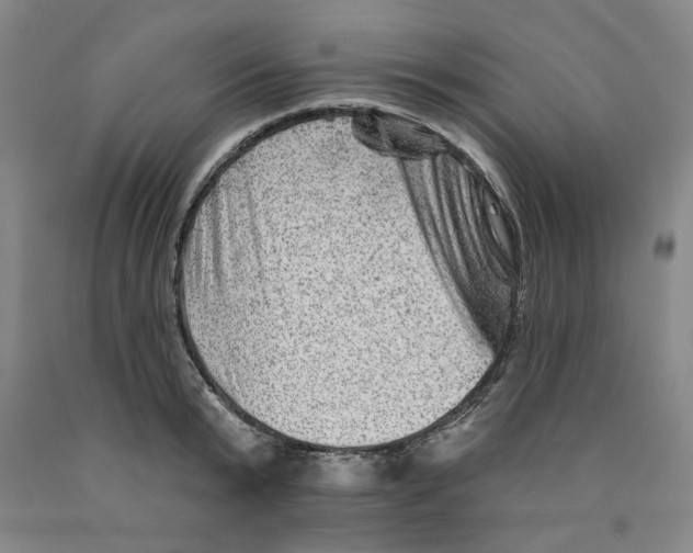 X0000089910799200707271713