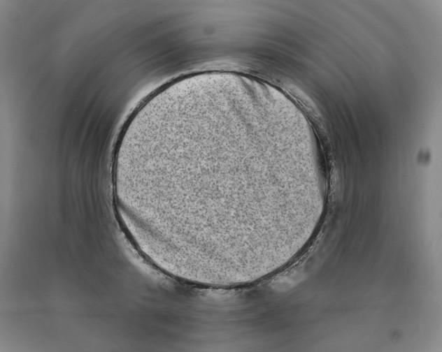 X0000089910800200707271713