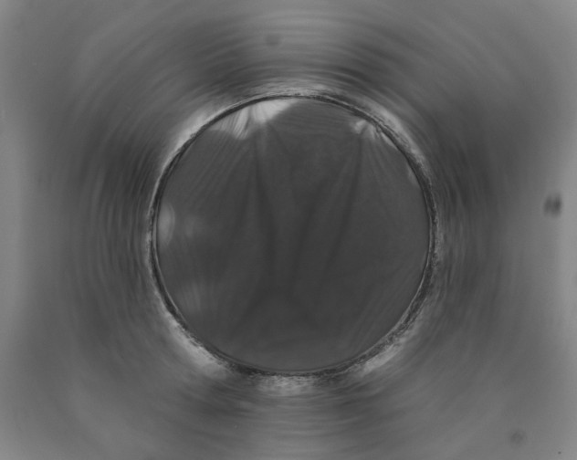 X0000089910802200707271713