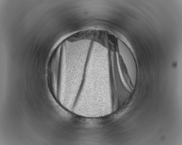 X0000089910803200707271713