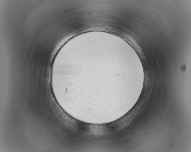 X0000089910804200707271713