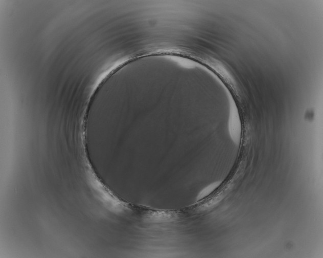 X0000089910806200707271713