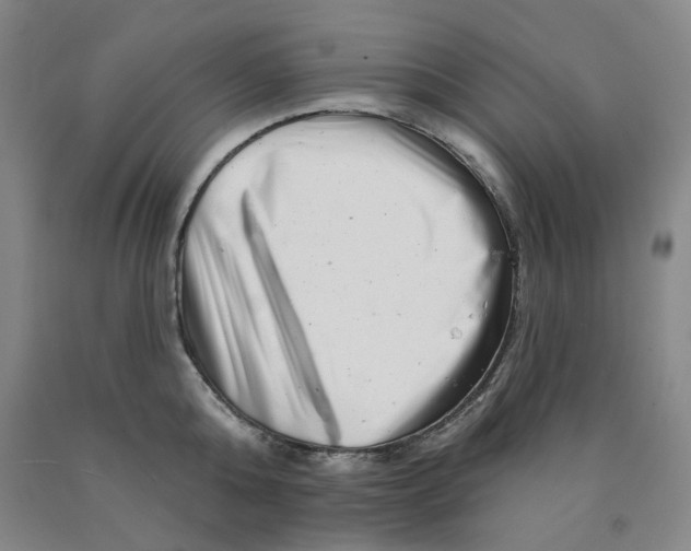 X0000089910808200707271713