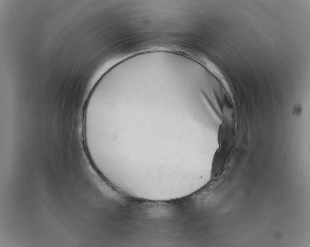 X0000089910811200707271713