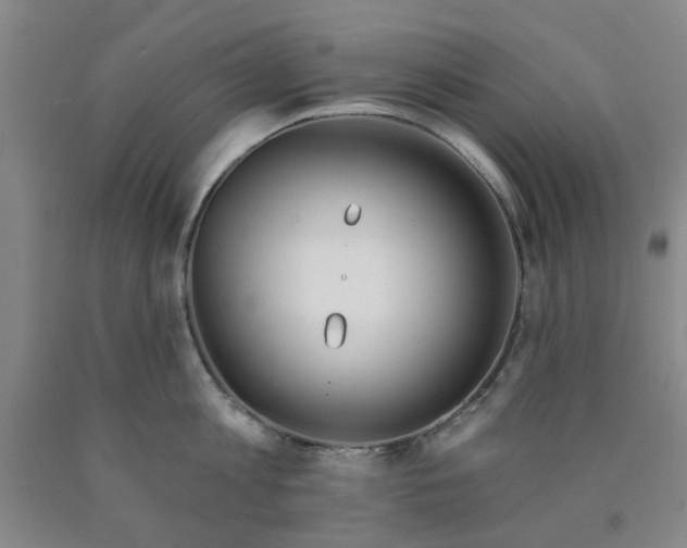 X0000089910813200707271713