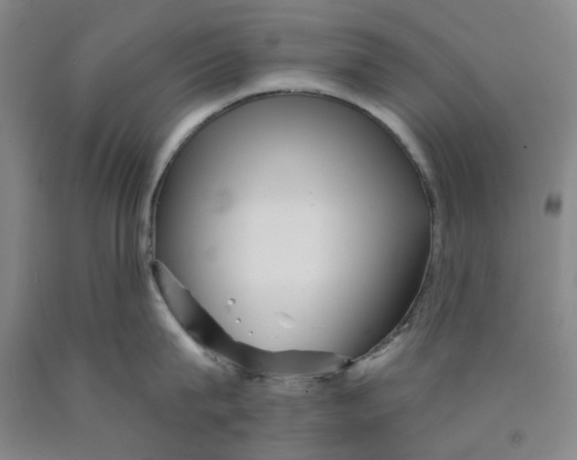 X0000089910815200707271713