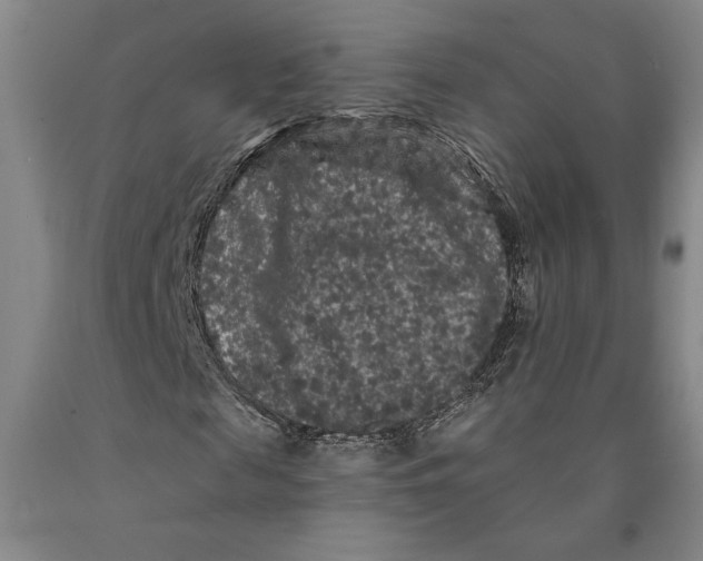 X0000089910817200707271712