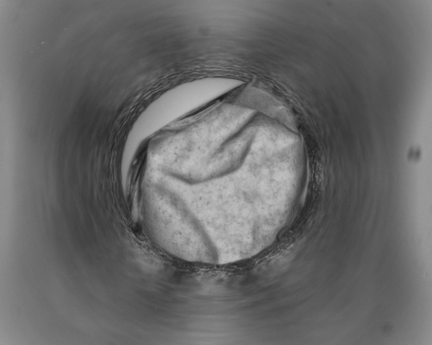 X0000089910818200707271712