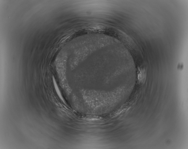 X0000089910819200707271712