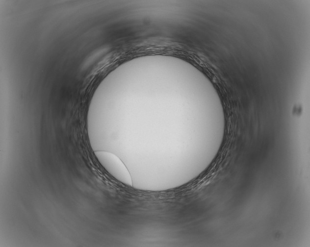 X0000089910820200707271712