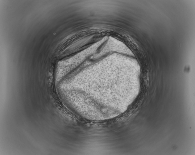 X0000089910821200707271712