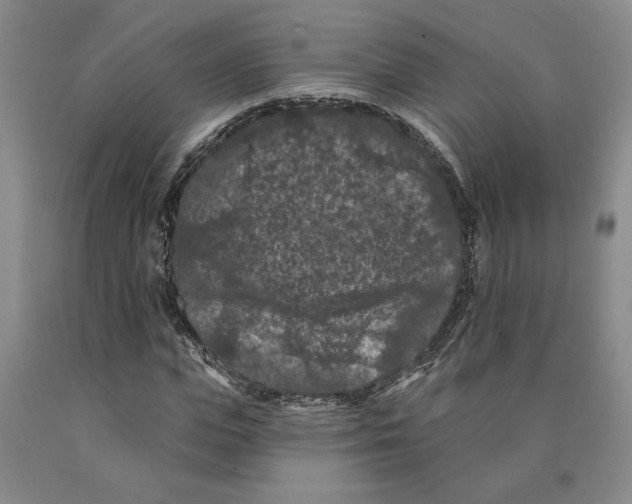 X0000089910823200707271712