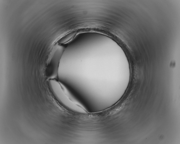 X0000089910826200707271712