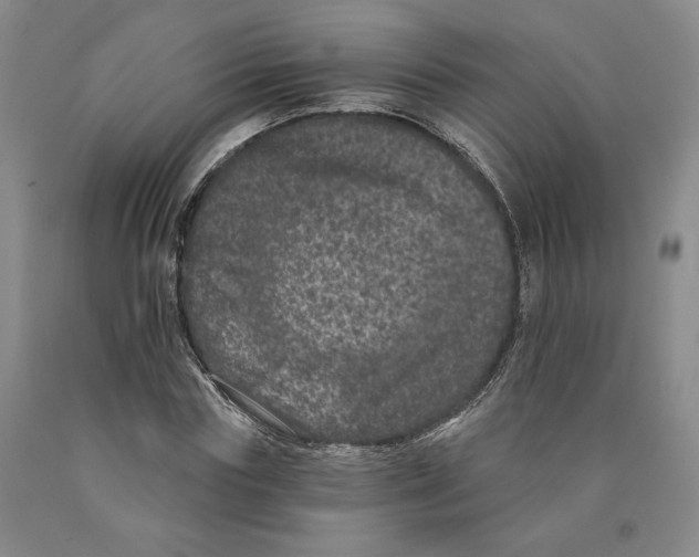 X0000089910827200707271712