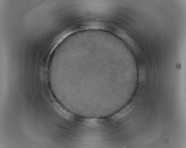 X0000089910828200707271712