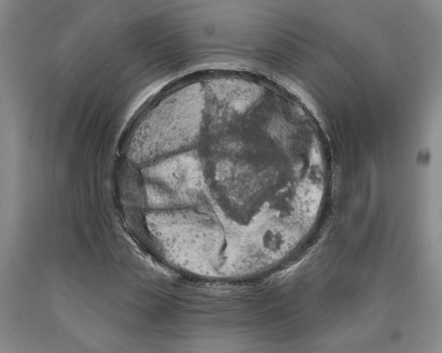 X0000089910829200707271712