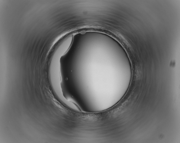 X0000089910830200707271712