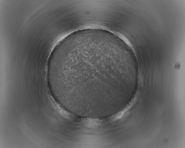 X0000089910831200707271712