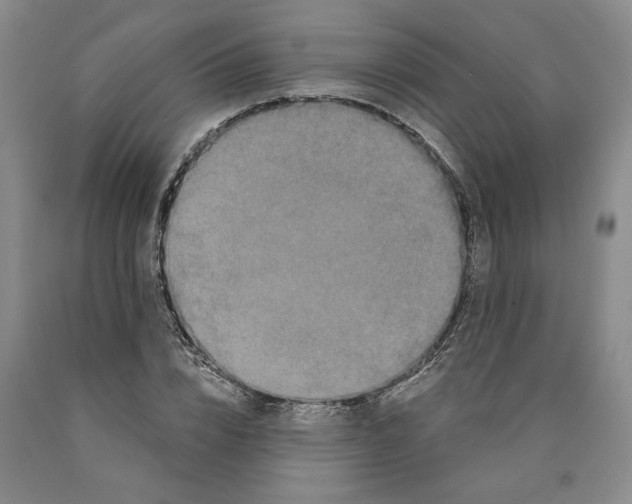 X0000089910832200707271712