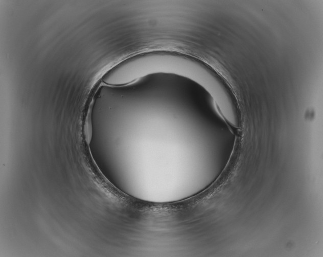 X0000089910834200707271712