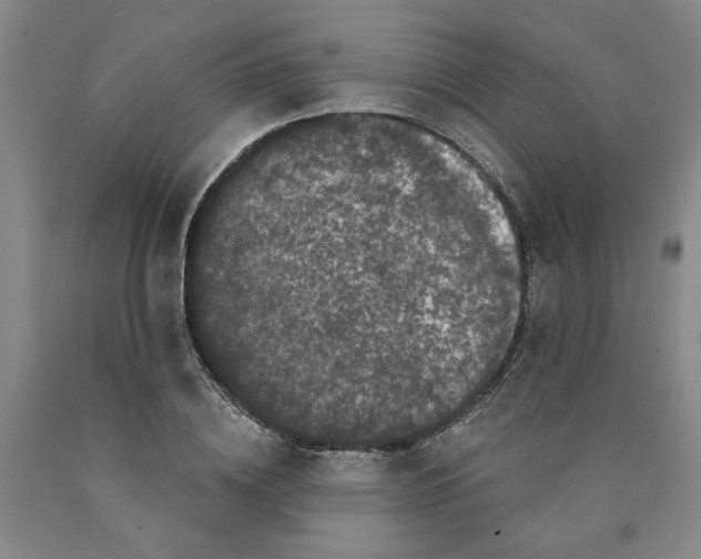 X0000089910836200707271713