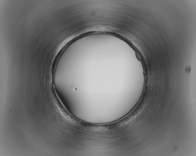 X0000089910837200707271713