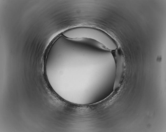 X0000089910838200707271713