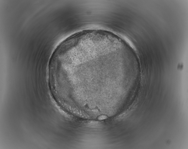 X0000089910839200707271713