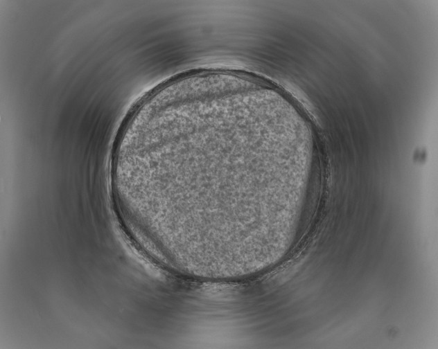 X0000089910840200707271713