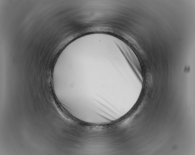 X0000089910841200707271713