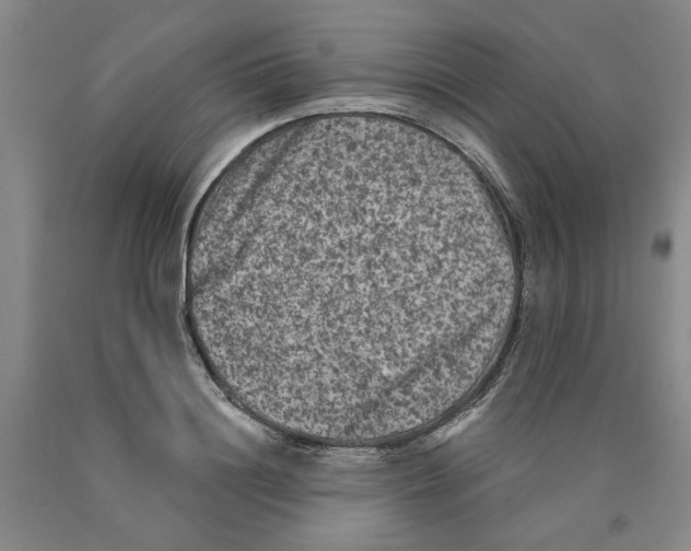 X0000089910844200707271713