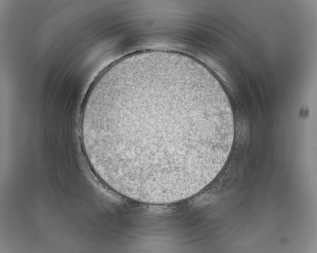 X0000089910848200707271713