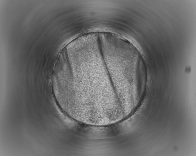 X0000089910849200707271713