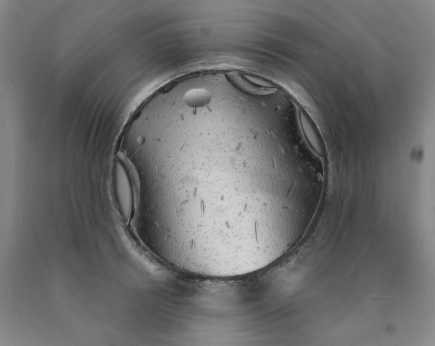 X0000089910850200707271713