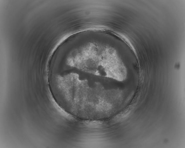 X0000089910851200707271713