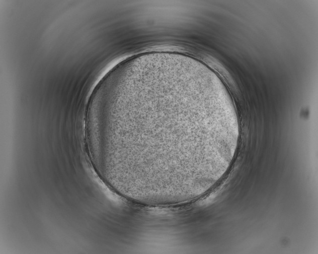 X0000089910852200707271713